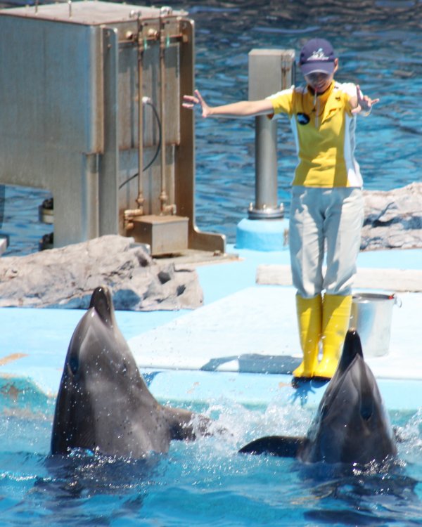 ファイル 3522-5.jpg