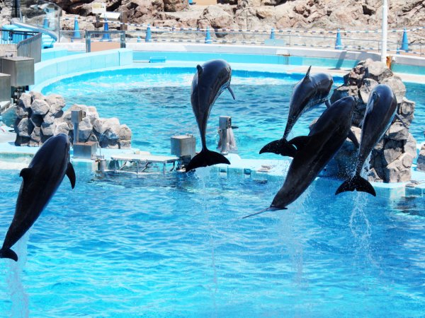 ファイル 3522-8.jpg