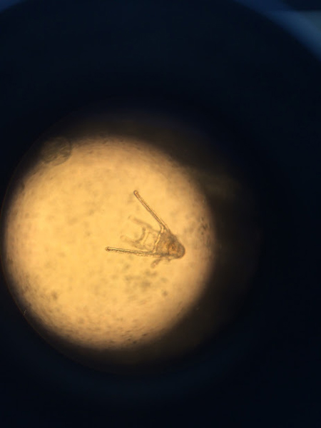 ファイル 3524-2.jpg