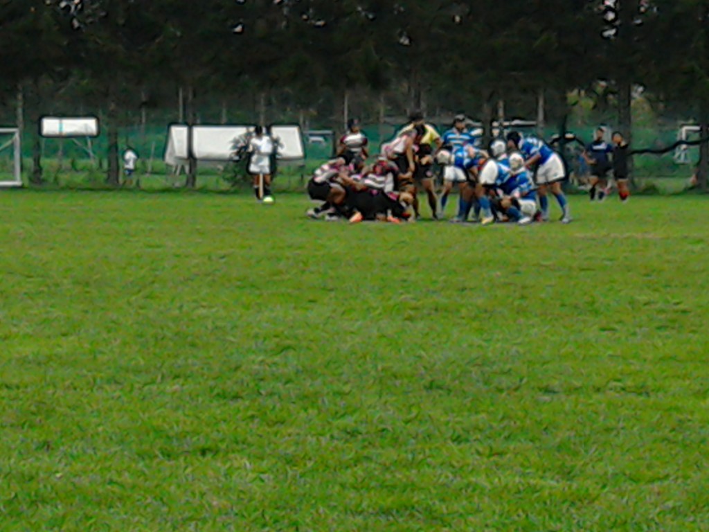 ファイル 3612-2.jpg