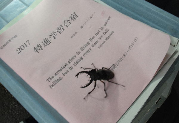 ファイル 3634-3.jpg