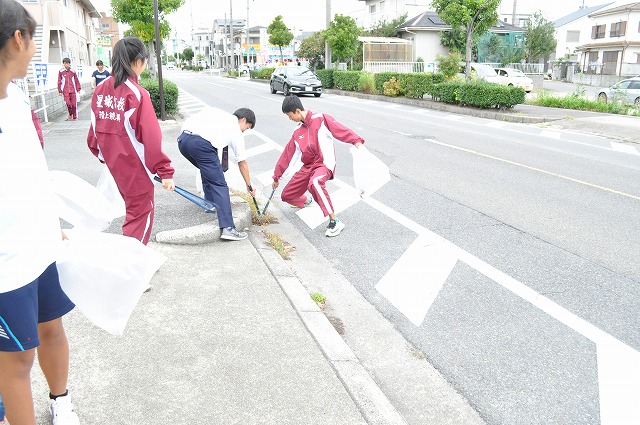 ファイル 3725-2.jpg