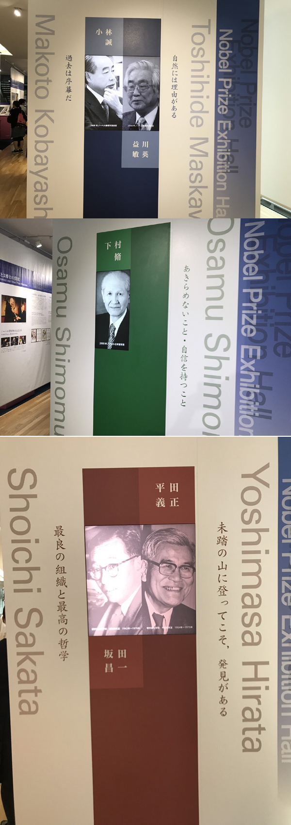 ファイル 3726-1.jpg