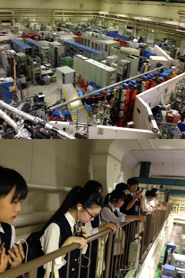 ファイル 3727-1.jpg