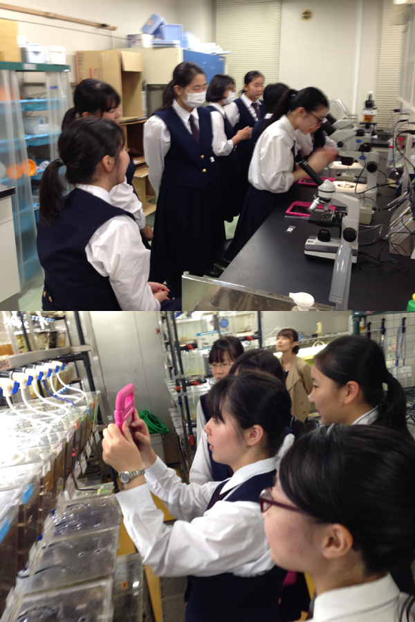 ファイル 3727-3.jpg