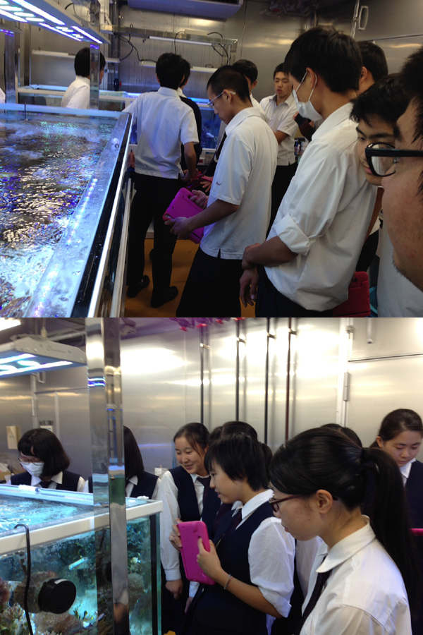 ファイル 3727-4.jpg