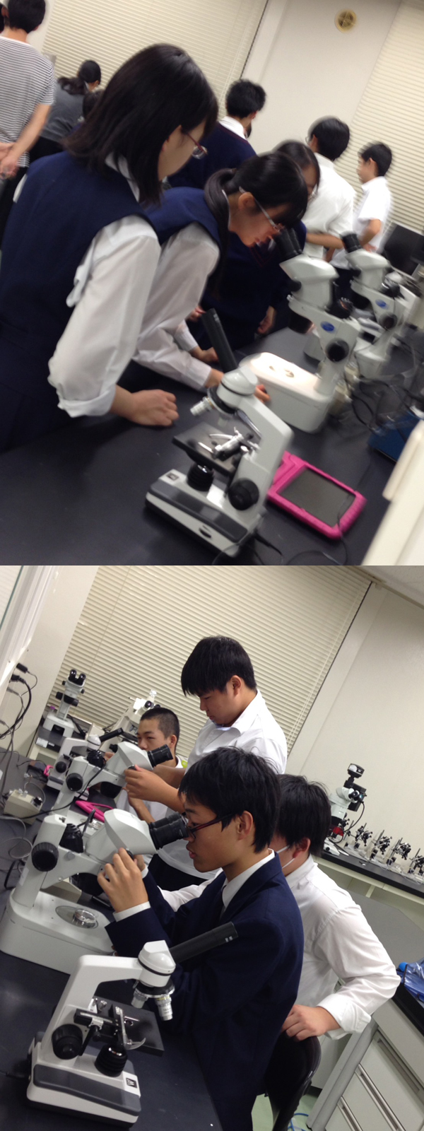 ファイル 3727-5.jpg