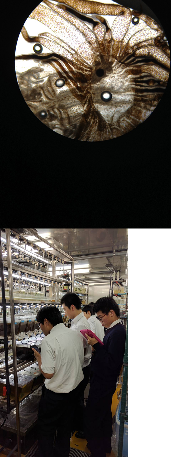 ファイル 3727-6.jpg