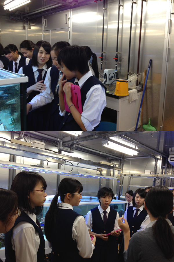 ファイル 3727-7.jpg