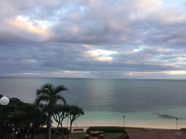 ファイル 3798-1.jpg