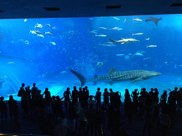 ファイル 3801-3.jpg