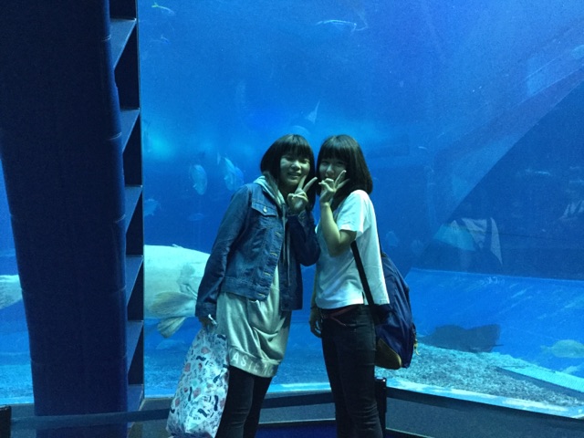 ファイル 3801-6.jpg