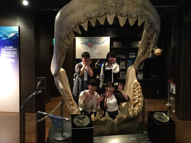 ファイル 3801-8.jpg