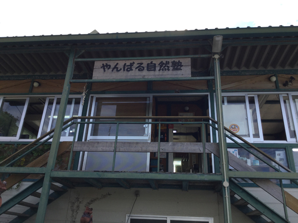 ファイル 3803-8.jpg