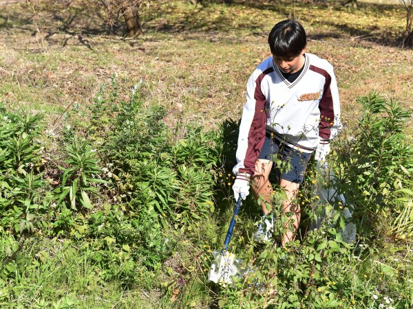 ファイル 3804-5.jpg