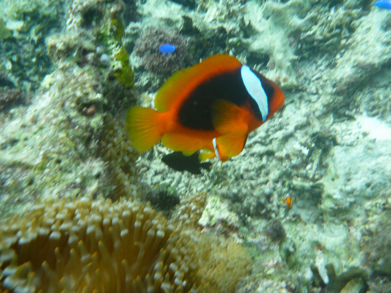 ファイル 3809-3.jpg