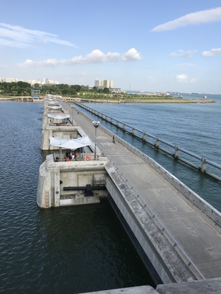 ファイル 3834-1.jpg