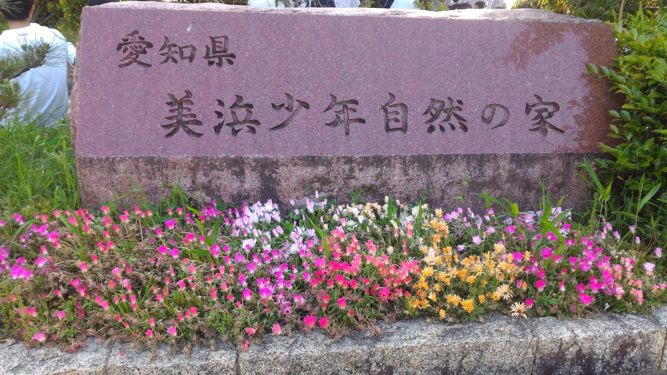 ファイル 4032-7.jpg