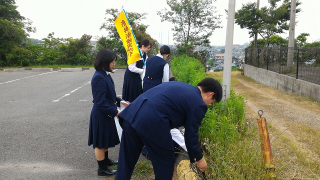 ファイル 4065-1.jpg