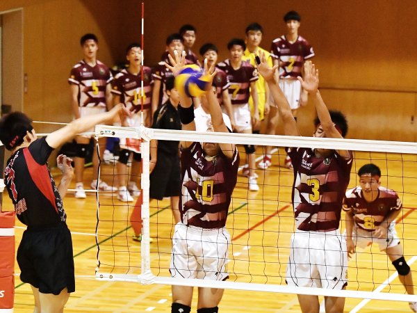 ファイル 4072-8.jpg