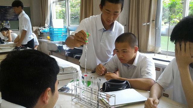 ファイル 4075-5.jpg