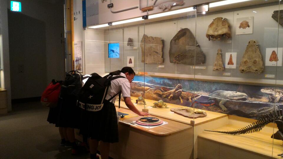 ファイル 4126-5.jpg