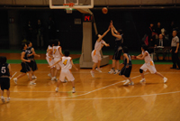 ファイル 419-1.jpg