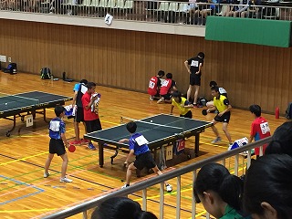 ファイル 4247-3.jpg