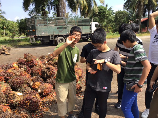 ファイル 4359-1.jpg