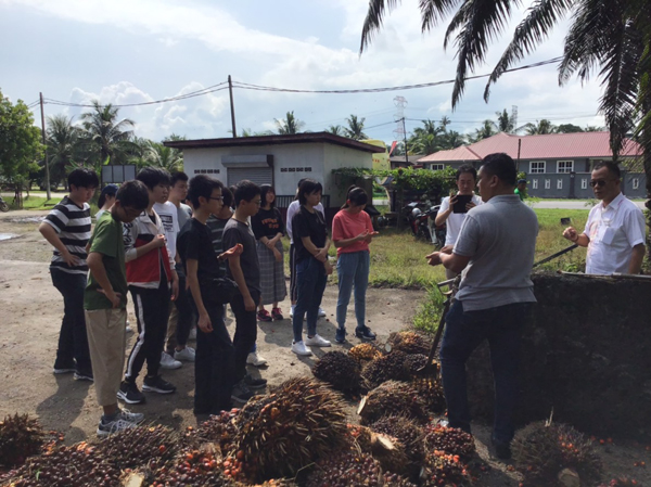 ファイル 4359-2.jpg