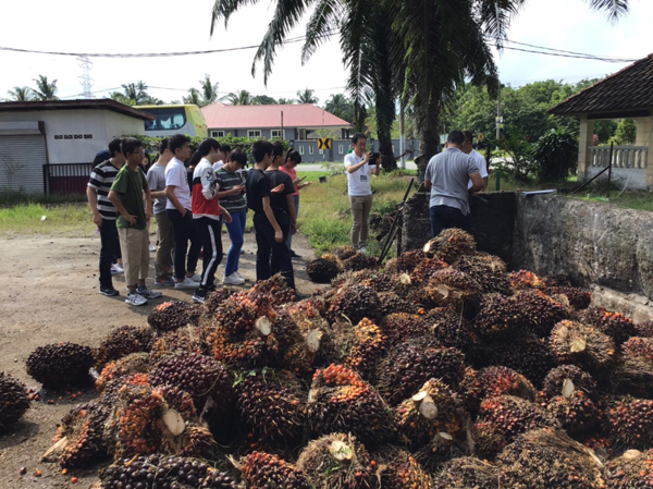 ファイル 4359-3.jpg