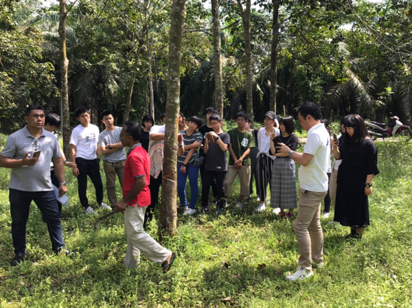 ファイル 4360-1.jpg