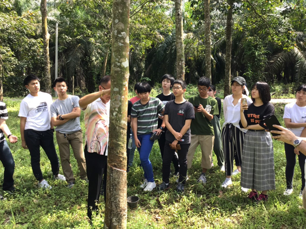 ファイル 4360-2.jpg