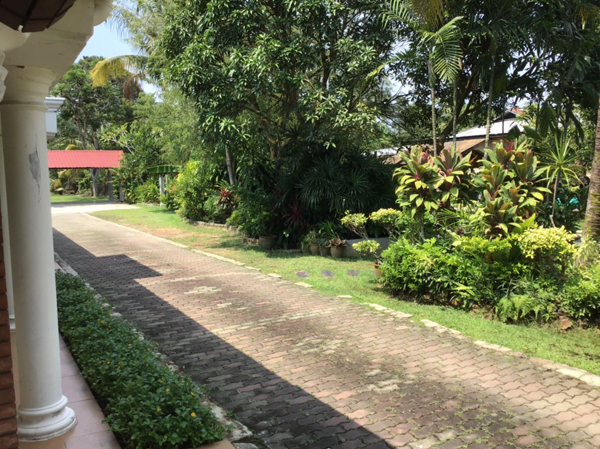 ファイル 4361-3.jpg