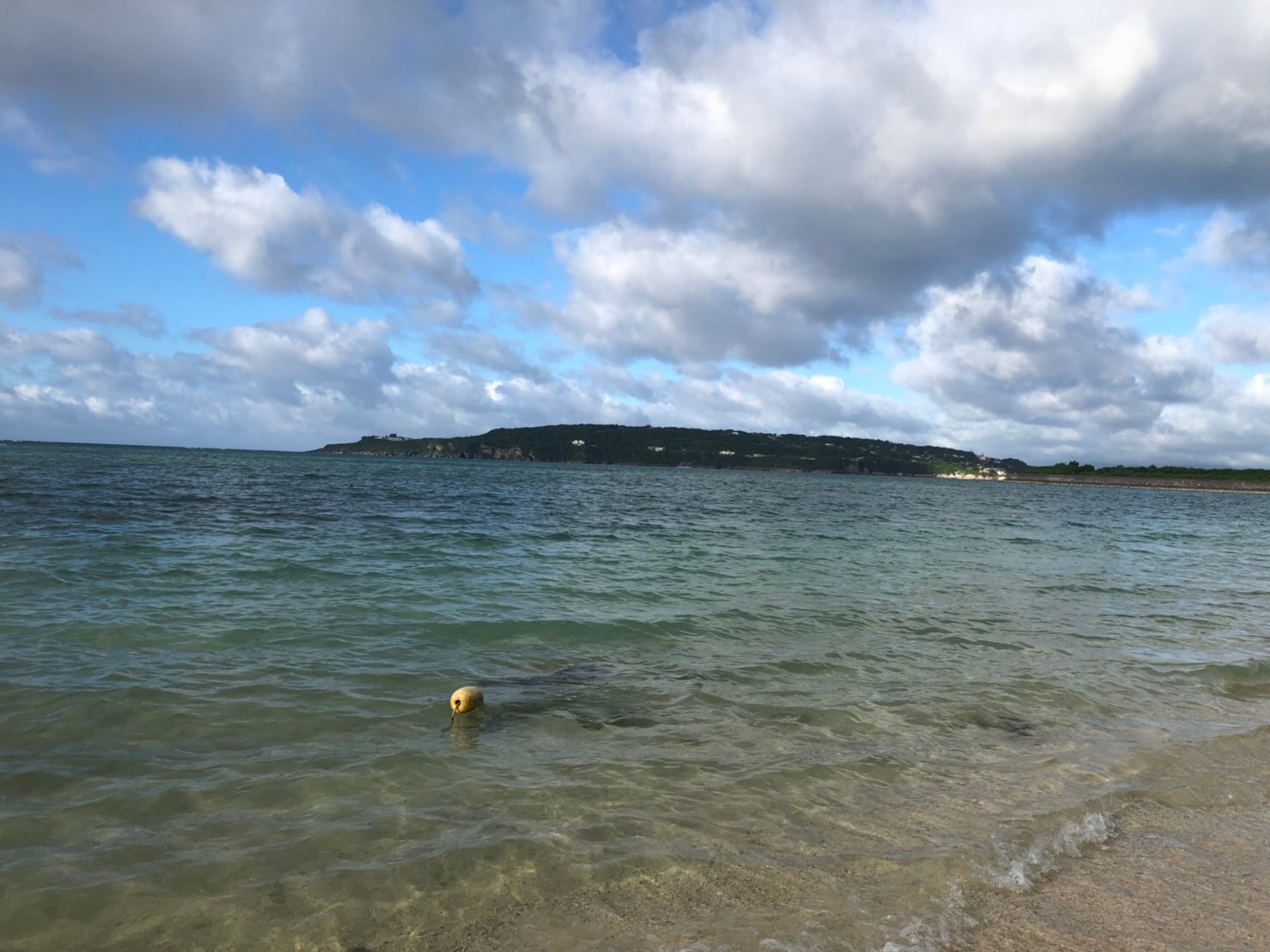 ファイル 4614-1.jpeg