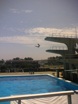 ファイル 7-1.jpg