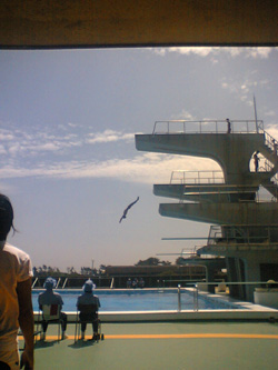 ファイル 7-3.jpg