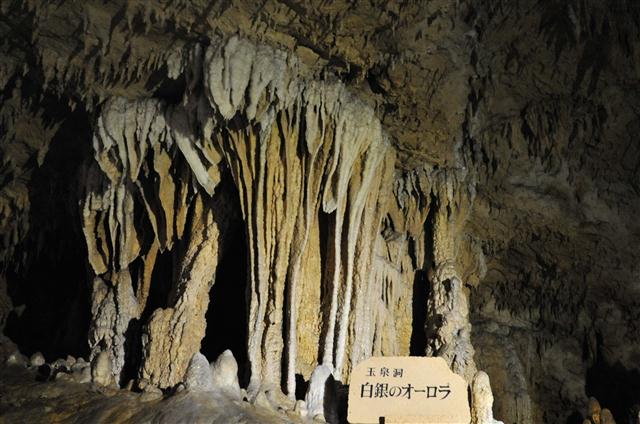 ファイル 754-2.jpg