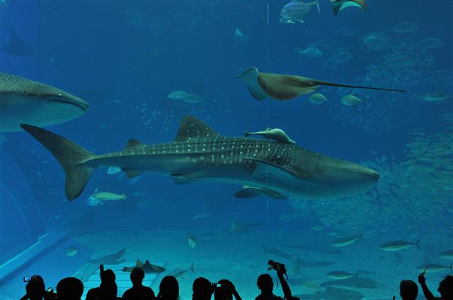 ファイル 754-4.jpg