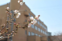 ファイル 952-2.jpg